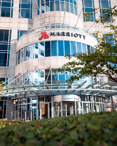 Pillars Bar & Kitchen - Horeca