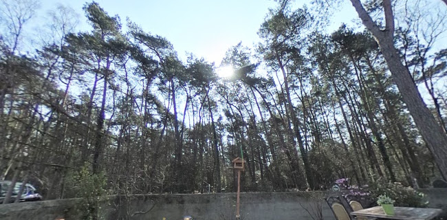 Comentarii opinii despre Grill-Restaurant & Bowling "Net Iets Anders"