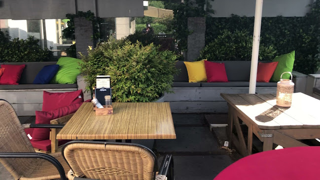 Opinii despre Brasserie Cronesteyn în Leiden - Horeca