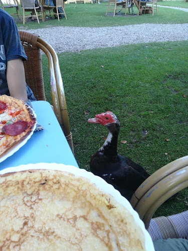 Comentarii opinii despre Theehuis Rhijnauwen