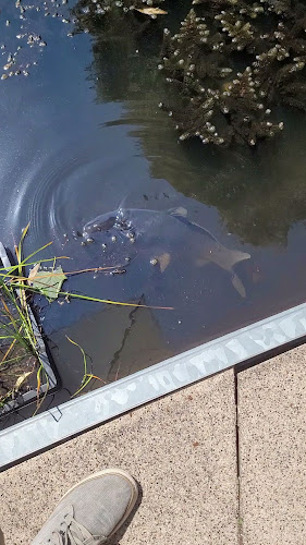 Restaurant Parc - Horeca