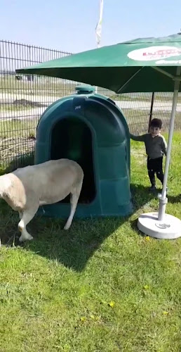 Enrico Fermistraat 30, 1341 CB Almere