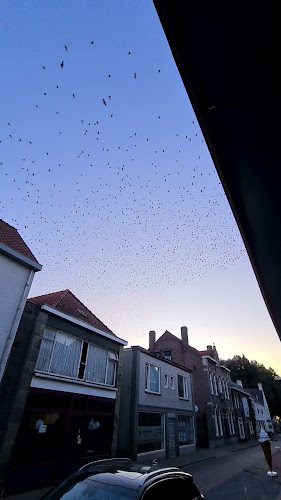 Comentarii opinii despre Cafetaria de Ridder