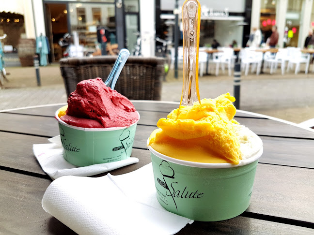 IJssalon Salute B.V. - Zwolle