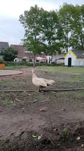 Parkcafé Bredius - Woerden