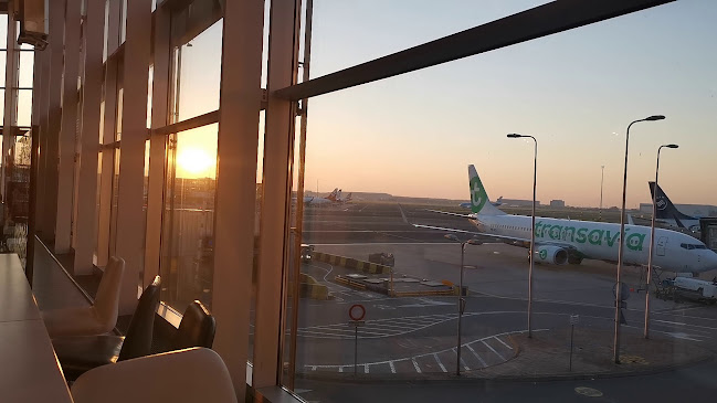 Comentarii opinii despre Café Chocolat