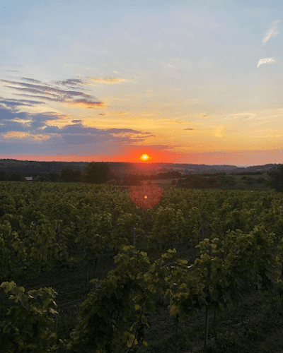 Wijndomein St. Martinus, locatie Langeberg - Voerendaal