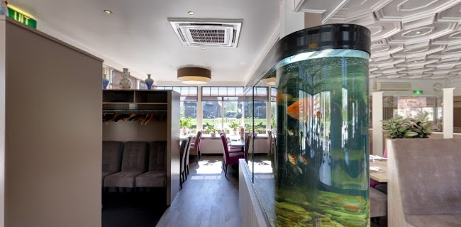 Comentarii opinii despre De Zomertuin