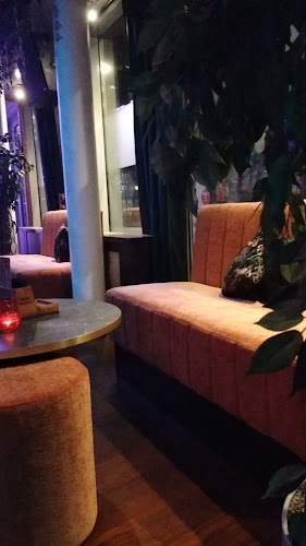 Cocktailbar Mundial - Horeca