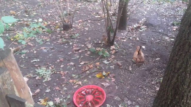 Comments and reviews of Snackbar Mies