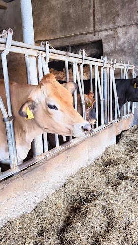 De IJskuip/Erve Kuiper