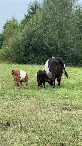 Opinii despre Pannenkoekenherberg Hollandershoeve în Reusel - Horeca