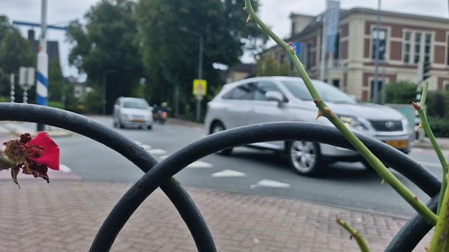 Café Tolhuis - Hilversum