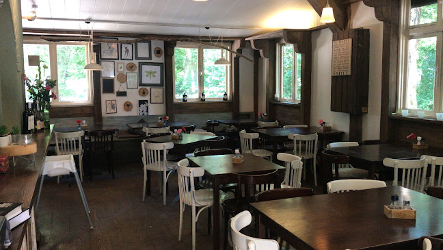 Opinii despre Theehuis de Haarlemmerhout în Haarlem - Horeca