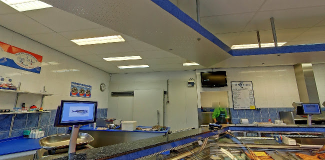 Viswinkel Nico Zoutenbier - Horeca