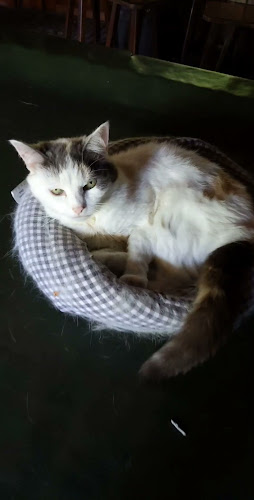 Café Bar 't Tonnetje