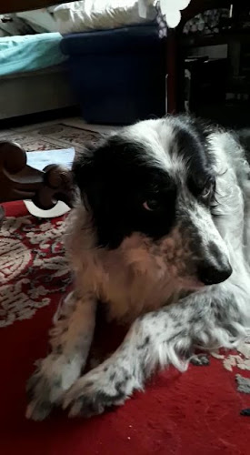 Langstraat 8, 5595 AA Leende