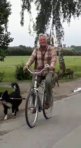 Opinii despre De Grijze Parel în Den Ham - Horeca