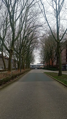 Reviews of Bakkerij Bahar 🍞 in 's-Hertogenbosch - Horeca