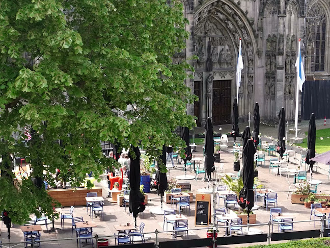 Opinii despre Café De Palm în 's-Hertogenbosch - Horeca