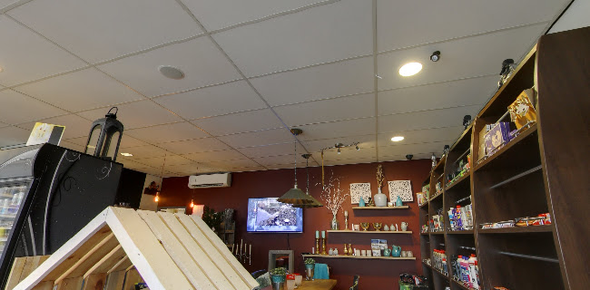 Opinii despre Zebra Shop în Kaatsheuvel - Horeca