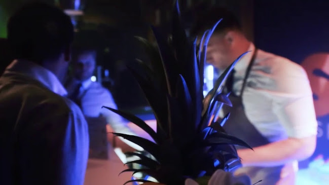 Opinii despre Shake Kings | Mobile Cocktail Catering | Cocktail workshops | Barverhuur Bedrijf în Bergen - Horeca