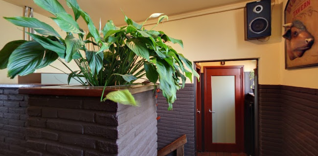 Comentarii opinii despre Farmer's Steakhouse