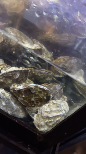 Brussels Lof - Groningen