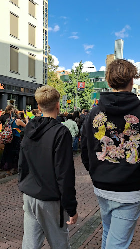 Comentarii opinii despre McDonald's Utrecht Lange Vie