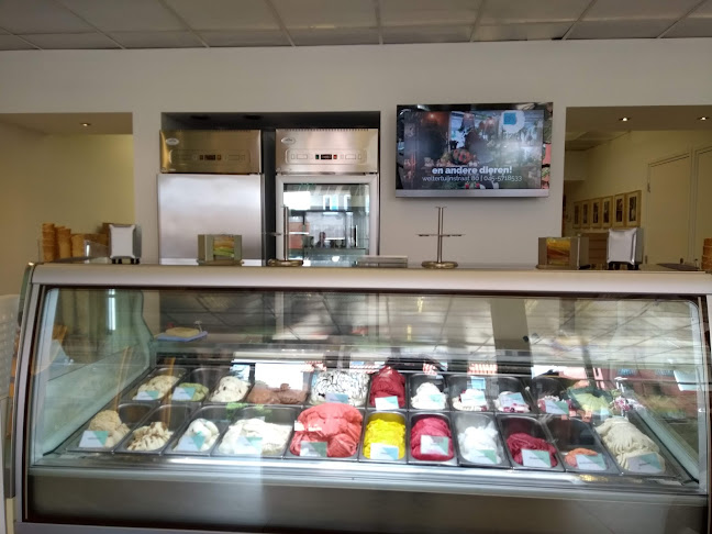 Comentarii opinii despre Visser Chocolade & IJs Heerlen-Welten