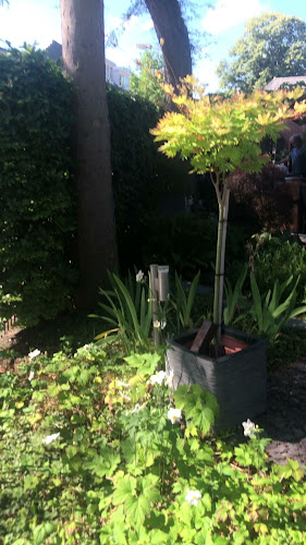 Comentarii opinii despre Het Wapen van Noordwijkerhout