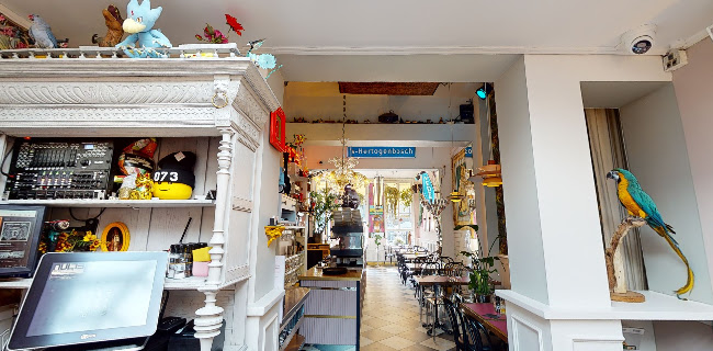 Comentarii opinii despre Nul73 Lunch en Diner Café