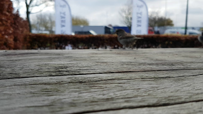 Hajé hotel-restaurant De Aalscholver - Horeca