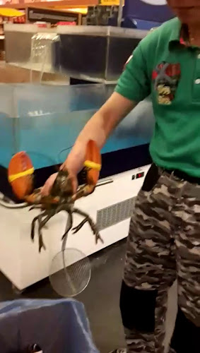 Lotus Sakura - Heerenveen