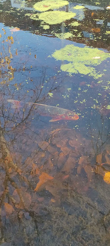 Restaurant Parc - Hilversum