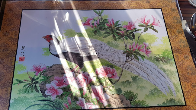 Comentarii opinii despre Jasmine Asten