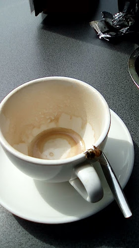 Reviews of Eetcafé Brinkzicht in Zuidlaren - Horeca