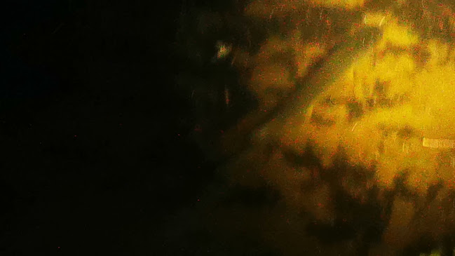 De Molenplas Open Times