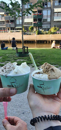 IJssalon Salute B.V. - Horeca