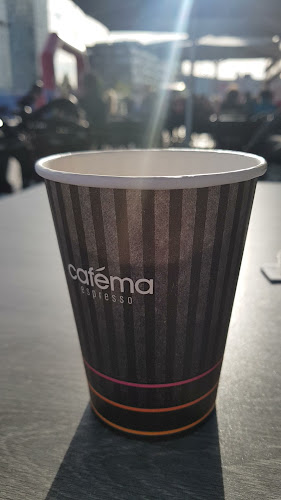 Comentarii opinii despre De Beren