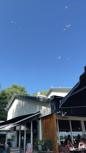 Reviews of De Molenplas in Haarlem - Horeca