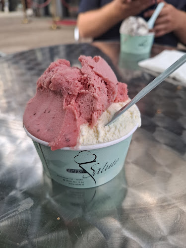 IJssalon Salute B.V. - Horeca