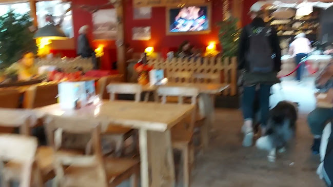 Boerderij Meyendel Open Times