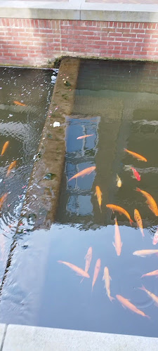 Snackbar-IJssalon Jerommeke