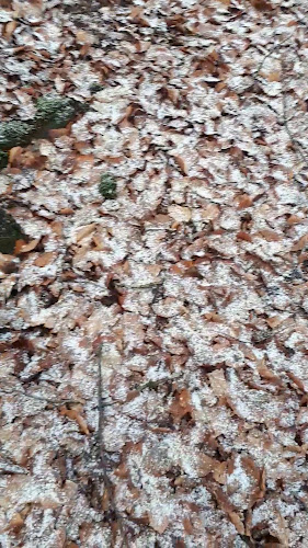 Gasterij Zondag - Garderen