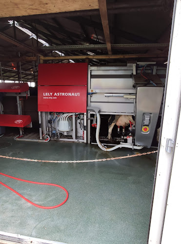 Comentarii opinii despre IJsboerderij Margje 24