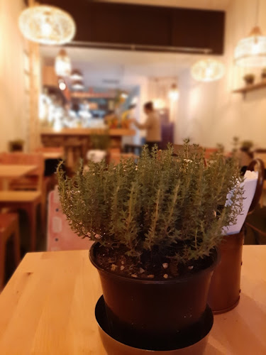 Mana Mana Leidse Bv - Amsterdam