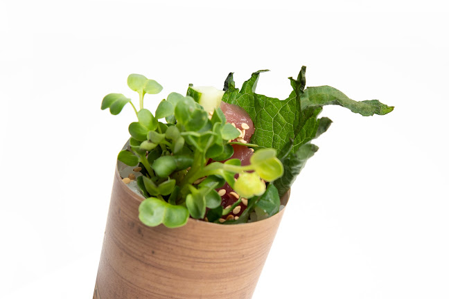 Veldbloemenweg 2a, 1508 WV Zaandam