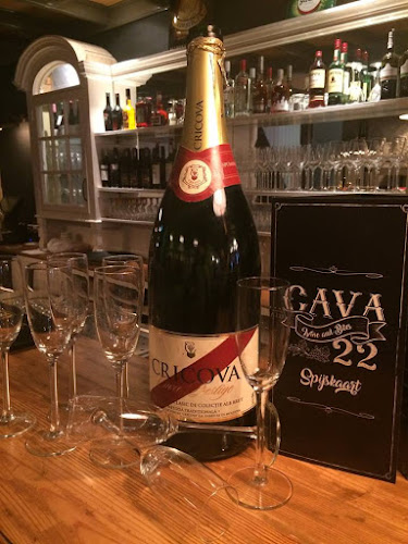 Comentarii opinii despre Cava 22