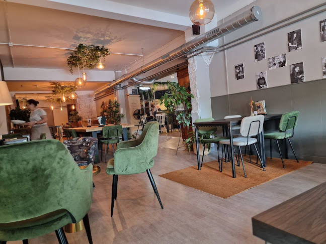 Comentarii opinii despre Brownies&downieS Wageningen